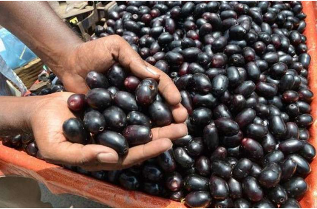 Jamun