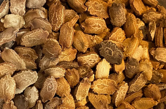 Karela seeds