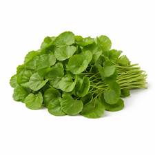 inaivaa-vallarai-keerai-gotu-kola-centella-asiatica-fresh-1kg-germany