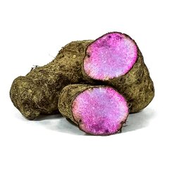 Fresh Rasavalli Kilangu roots