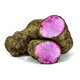 Fresh Rasavalli Kilangu roots
